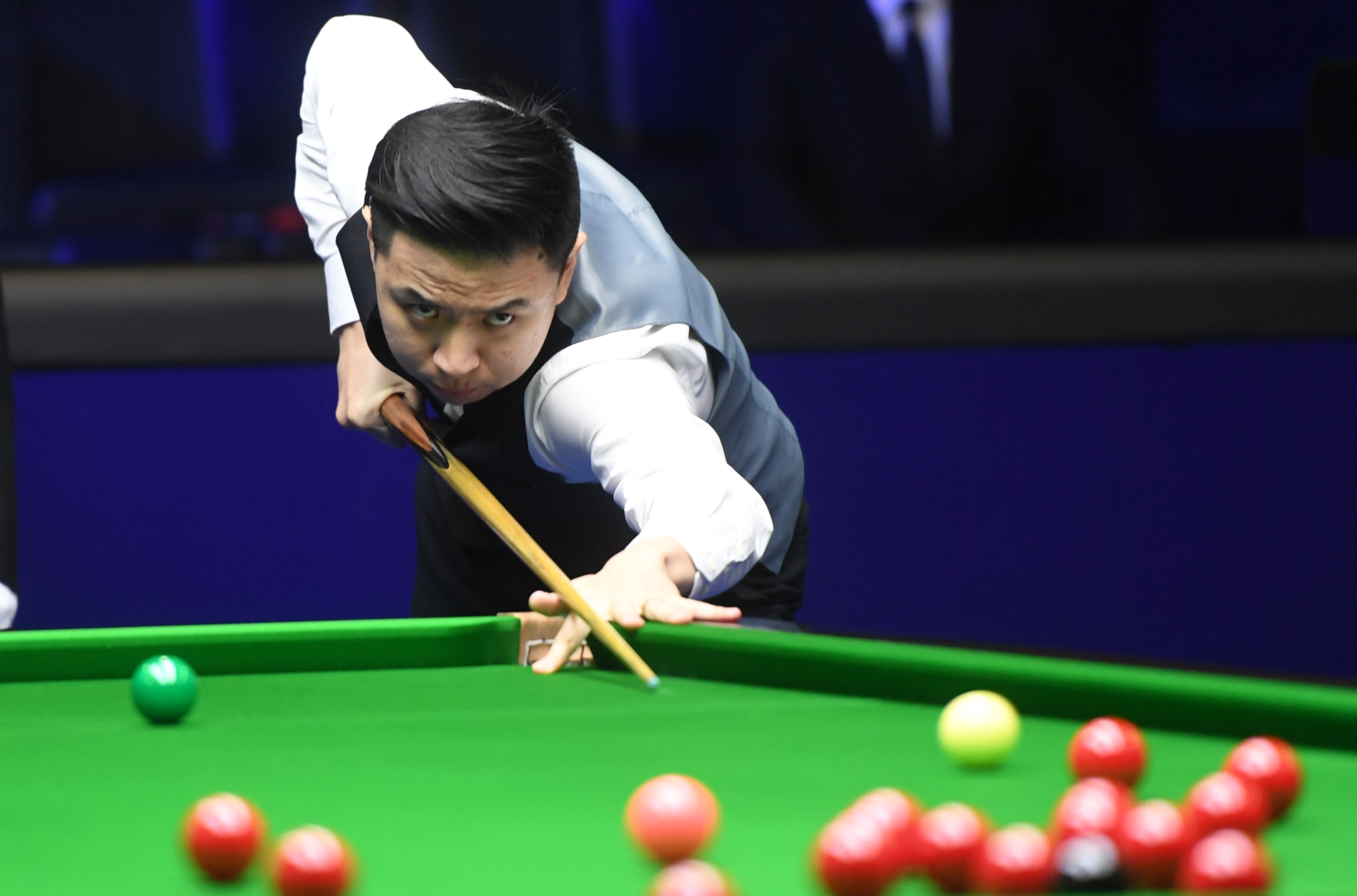 松是一场心 松是一场心