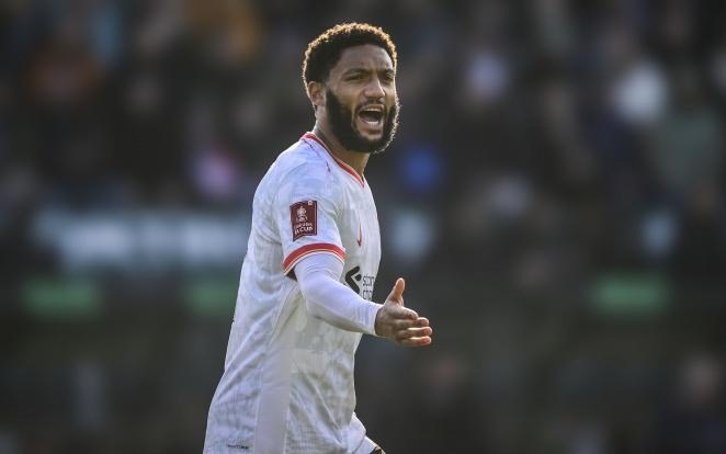 迎来新一轮 迎来新一轮