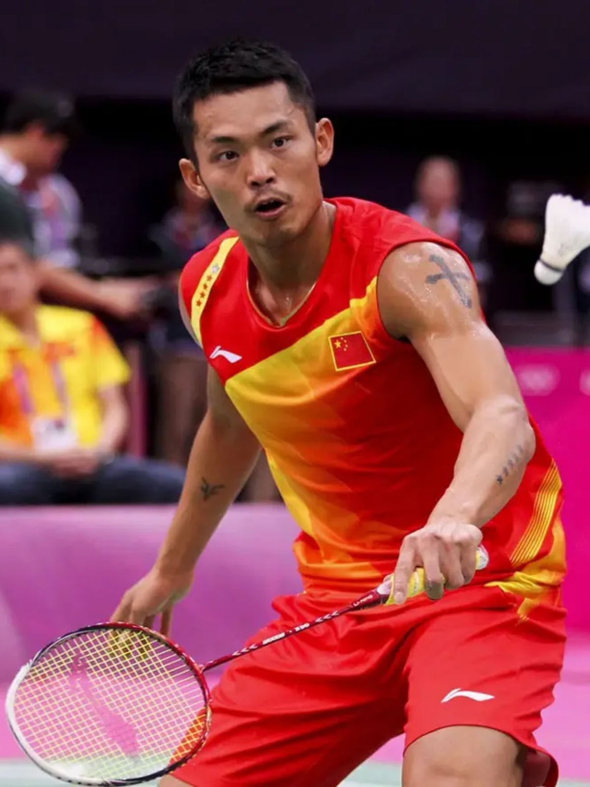 用回合样本 用回合样本